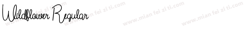 Wildflower Regular字体转换